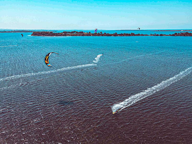 oasi-guzzetta-kite-1