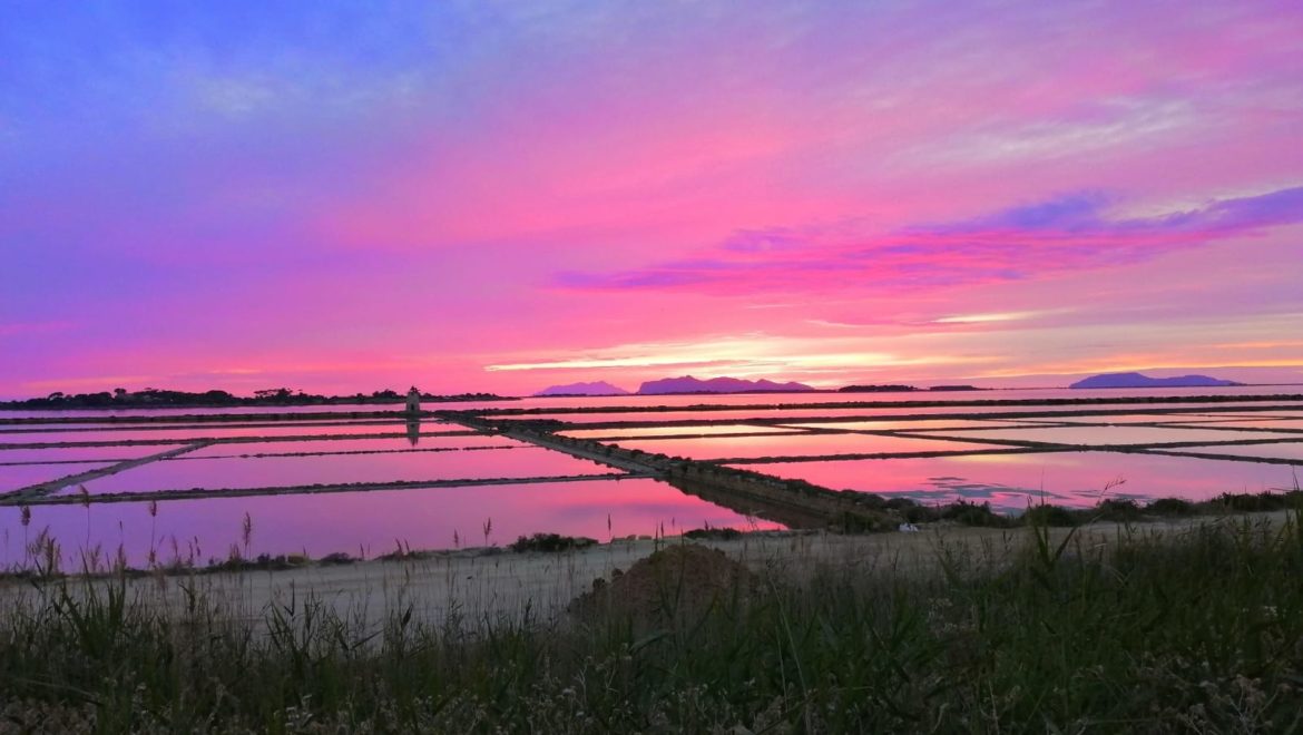 oasi-guzzetta-marsala-struttura (5)