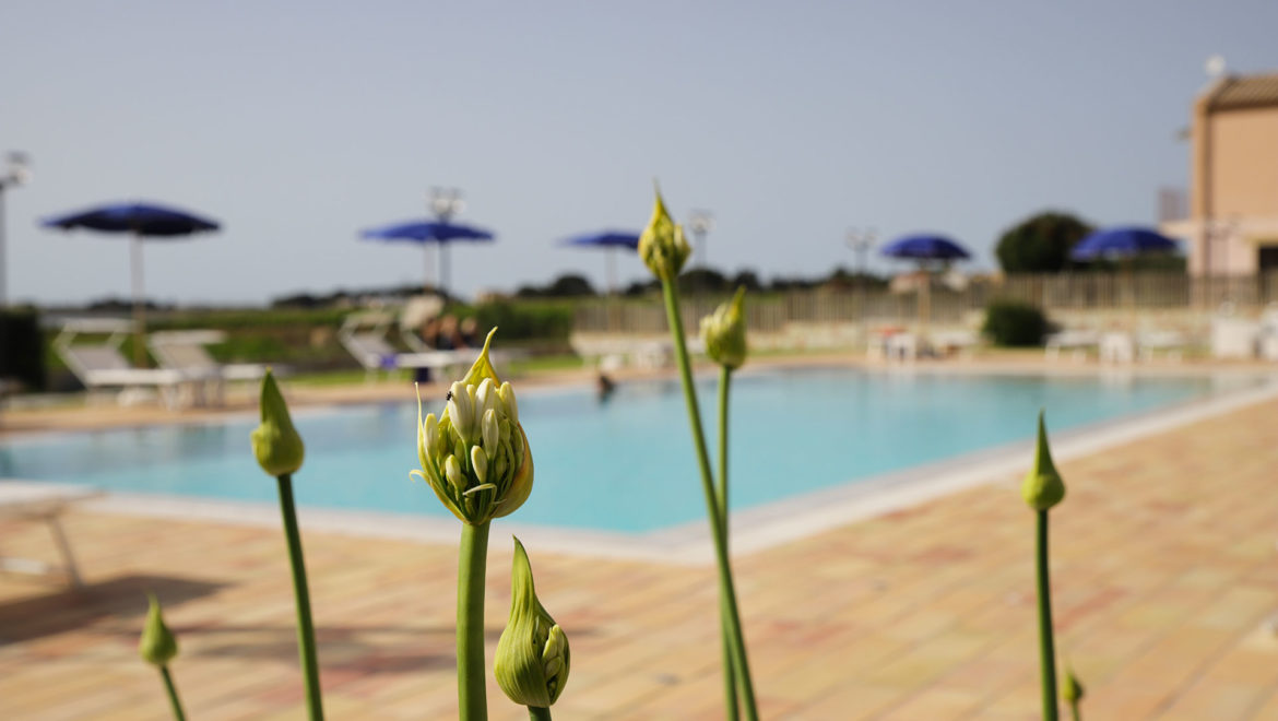 Oasi Guzzetta - Marsala, Trapani