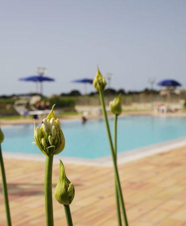 Oasi Guzzetta - Marsala, Trapani